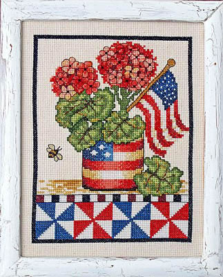 Patriotic Geranium - 