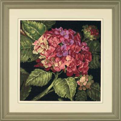 Hydrangea Bloom - 