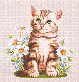 Summer Kitten - Ellen_Maurer_Stroh Pattern