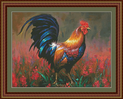 Colourful Rooster - 