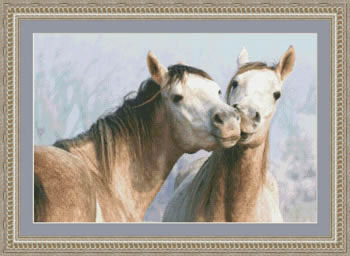Horse Kisses - 
