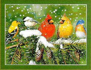 Backyard Beauties - Kustom_Krafts Pattern