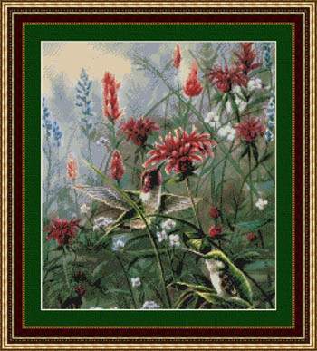 Monardia - 