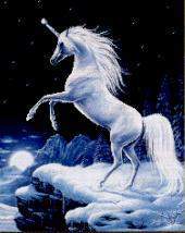Moonlight Magic - 