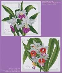 Orchid Flowers - Pinn_Stitch Pattern