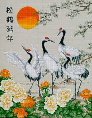 Crane Paradise - 