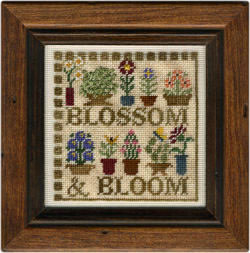 Blossom and Bloom - 
