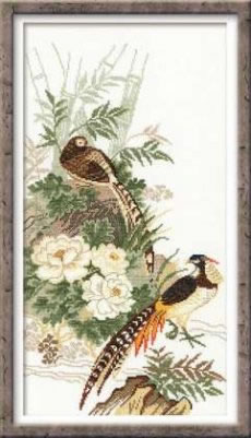 Pheasants - 