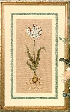 Dutch Tulip - Serendipity::Carolyn_Meacham Pattern