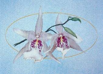 123 Orchids - 