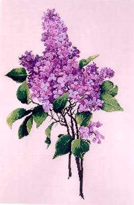 Lilac Lace Shoulder Shawl Crochet Pattern Instructions | eBay