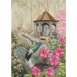 Garden Hummingbird