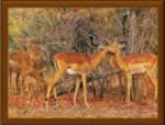Fall Nature - Cross Stitch Pattern