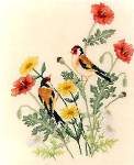 European Goldfinches - Cross Stitch Pattern