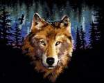 Night Eyes - Cross Stitch Pattern