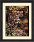 Leopards Gaze - Cross Stitch 