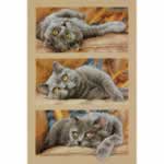 Max the Cat - Cross Stitch Pattern