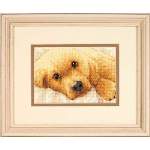 Golden Puppy - Cross Stitch Pattern