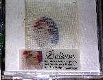 Believe - Cross Stitch Pattern
