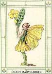 The Primrose Fairy - Cross Stitch 