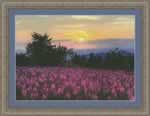 Fireweed Fields - Cross Stitch Pattern