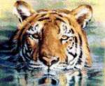 Water Tiger - Cross Stitch Pattern