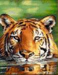 Water Tiger II - Cross Stitch Pattern