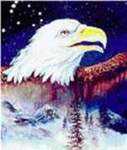 Aquila - Cross Stitch 