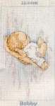 Bobby - Cross Stitch