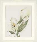 Calla - Cross Stitch Pattern