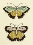 Butterflies of the Meadow - Cross Stitch Pattern