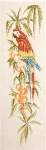 Scarlet Macaw - Cross Stitch Pattern