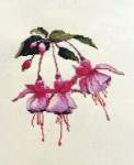 Fuschia - Cross Stitch Pattern