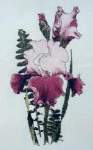 Gay Parasol - Cross Stitch 