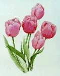 Pink Tulips - Cross Stitch Pattern