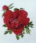 Ruby Red - Cross Stitch Pattern
