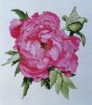 Pink Ice - Cross Stitch Pattern