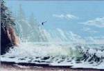 Humboldt Coast - Cross Stitch Pattern