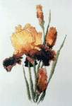 Glad Rags - Cross Stitch Pattern