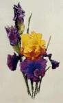 Edith Walford - Cross Stitch Pattern