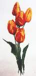 Rembrandt Tulips - Cross Stitch Pattern