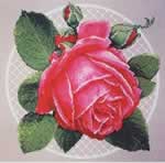 Center Stage - Cross Stitch Pattern
