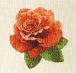 Orange Glow - Cross Stitch