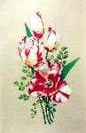 Parrot Tulip - Cross Stitch Pattern