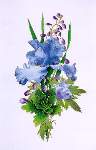 Genies Blue Blast - Cross Stitch Pattern