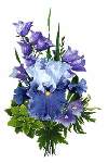 Bruces Brilliant Blues - Cross Stitch Pattern