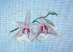 123 Orchids - Cross Stitch Pattern