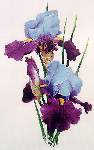 Dream Maker - Cross Stitch Pattern