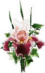 Crystal Ribbon - Cross Stitch Pattern